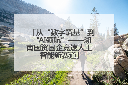 从“数字筑基”到“AI领航”——湖南国资国企竞速人工智能新赛道