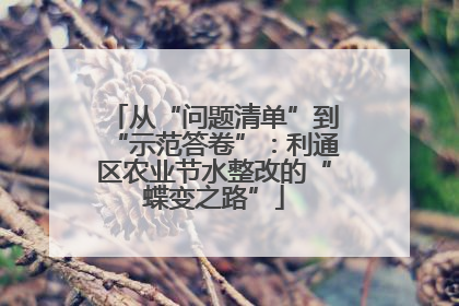 从“问题清单”到“示范答卷”：利通区农业节水整改的“蝶变之路”