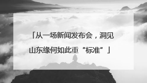 从一场新闻发布会，洞见山东缘何如此重“标准”