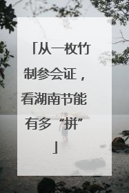 从一枚竹制参会证，看湖南节能有多“拼”