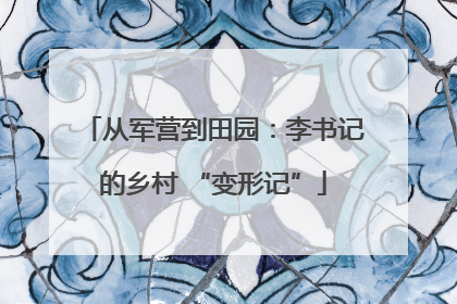 从军营到田园：李书记的乡村 “变形记”