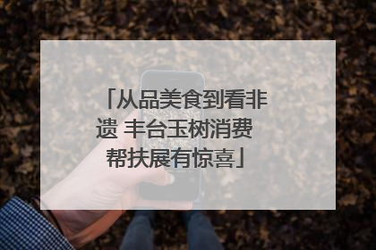从品美食到看非遗 丰台玉树消费帮扶展有惊喜