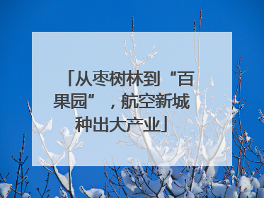 从枣树林到“百果园”，航空新城种出大产业