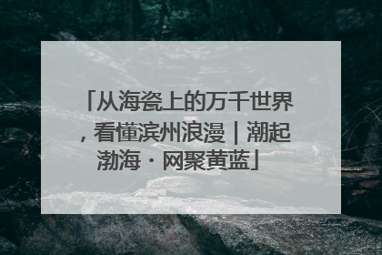 从海瓷上的万千世界，看懂滨州浪漫｜潮起渤海・网聚黄蓝