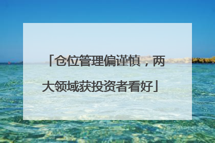 仓位管理偏谨慎，两大领域获投资者看好