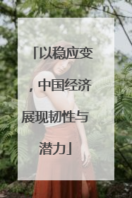 以稳应变,中国经济展现韧性与潜力