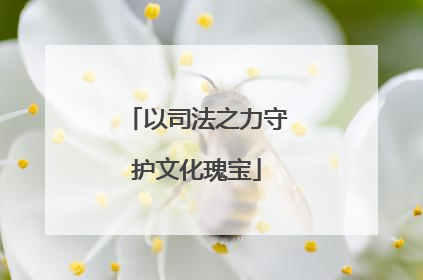 以司法之力守护文化瑰宝