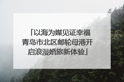 以海为媒见证幸福 青岛市北区邮轮母港开启浪漫婚旅新体验