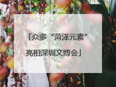 众多“菏泽元素”亮相深圳文博会