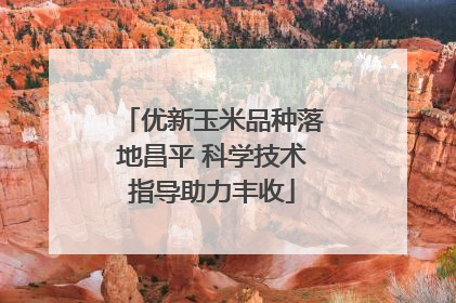 优新玉米品种落地昌平 科学技术指导助力丰收