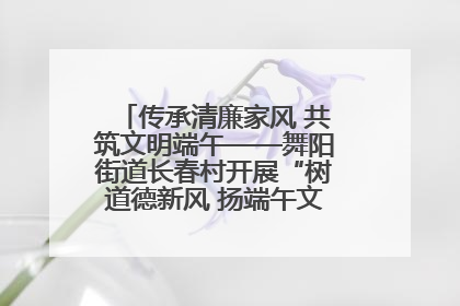 传承清廉家风 共筑文明端午——舞阳街道长春村开展“树道德新风 扬端午文化”主题活动