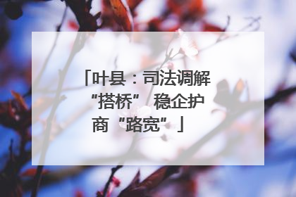 叶县：司法调解“搭桥” 稳企护商“路宽”
