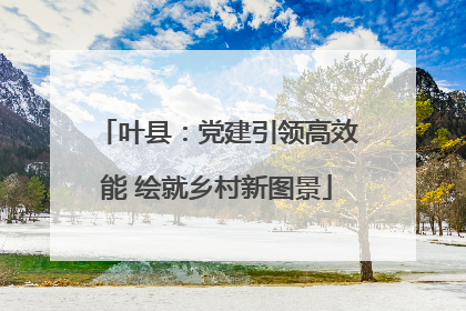 叶县：党建引领高效能 绘就乡村新图景