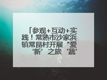 参观+互动+实践！常熟市沙家浜镇常昆村开展“爱‘新’之旅‘蔬’适生活”参观学习活动