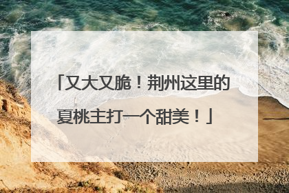又大又脆！荆州这里的夏桃主打一个甜美！