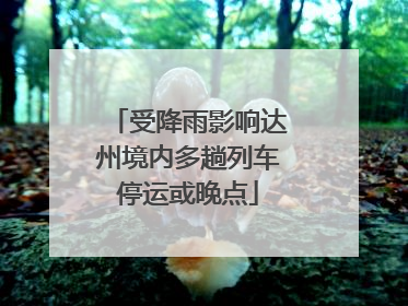 受降雨影响达州境内多趟列车停运或晚点