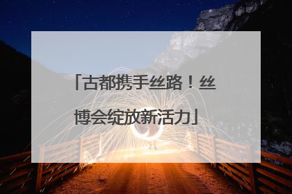 古都携手丝路！丝博会绽放新活力
