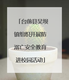 台前县吴坝镇组织开展防溺亡安全教育进校园活动
