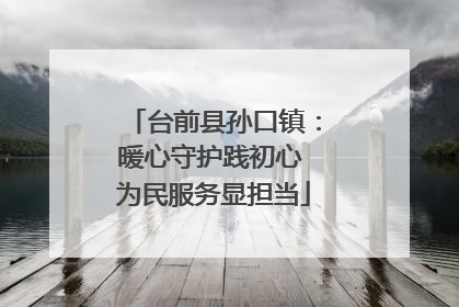 台前县孙口镇：暖心守护践初心 为民服务显担当