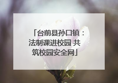 台前县孙口镇：法制课进校园 共筑校园安全网