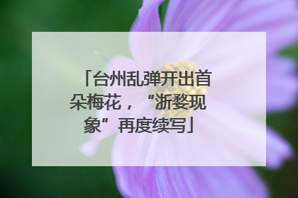 台州乱弹开出首朵梅花，“浙婺现象”再度续写