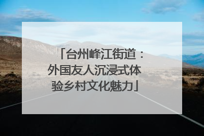 台州峰江街道：外国友人沉浸式体验乡村文化魅力
