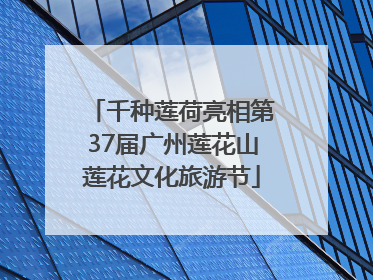 千种莲荷亮相第37届广州莲花山莲花文化旅游节