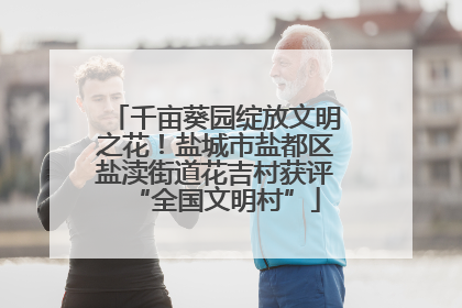 千亩葵园绽放文明之花！盐城市盐都区盐渎街道花吉村获评“全国文明村”