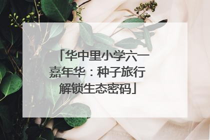 华中里小学六一嘉年华：种子旅行解锁生态密码