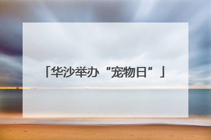华沙举办“宠物日”