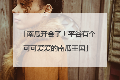 南瓜开会了！平谷有个可可爱爱的南瓜王国