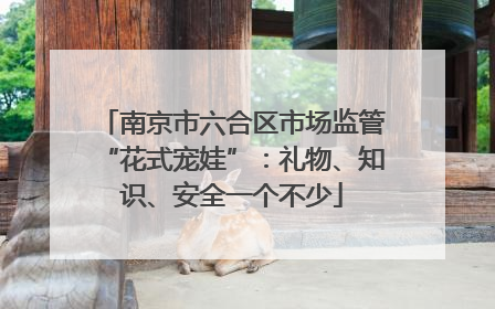 南京市六合区市场监管“花式宠娃”：礼物、知识、安全一个不少