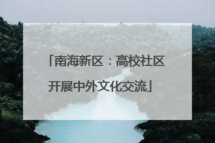 南海新区：高校社区开展中外文化交流