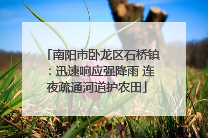南阳市卧龙区石桥镇：迅速响应强降雨 连夜疏通河道护农田