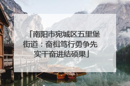 南阳市宛城区五里堡街道：奋楫笃行勇争先 实干奋进结硕果