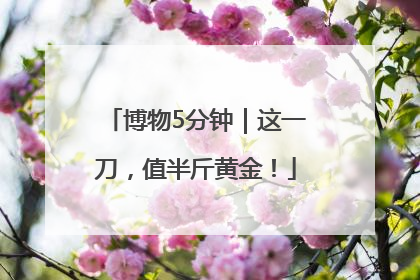 博物5分钟｜这一刀，值半斤黄金！