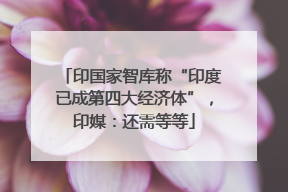 印国家智库称“印度已成第四大经济体”，印媒：还需等等