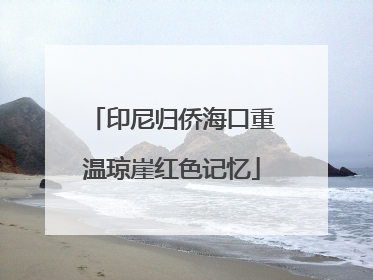 印尼归侨海口重温琼崖红色记忆