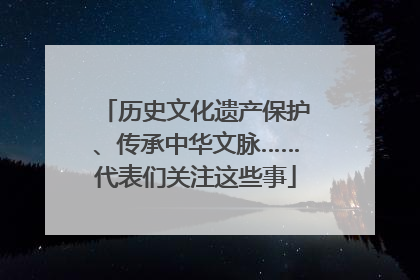 历史文化遗产保护、传承中华文脉……代表们关注这些事