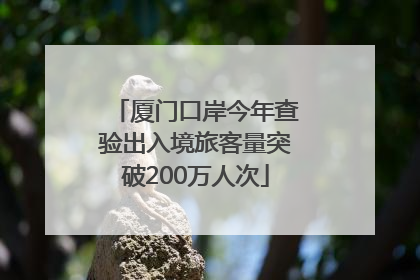 厦门口岸今年查验出入境旅客量突破200万人次