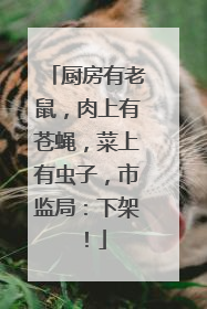 厨房有老鼠，肉上有苍蝇，菜上有虫子，市监局：下架！