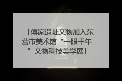 傅家遗址文物加入东营市美术馆“一眼千年”文物科技美学展