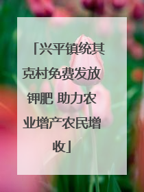 兴平镇统其克村免费发放钾肥 助力农业增产农民增收
