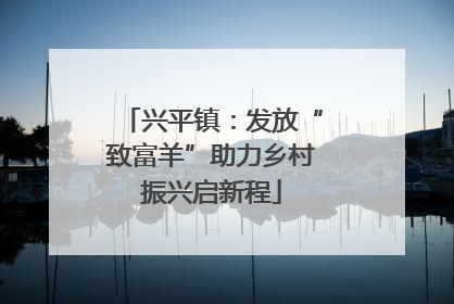 兴平镇：发放“致富羊”助力乡村振兴启新程