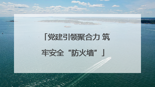 党建引领聚合力 筑牢安全“防火墙”