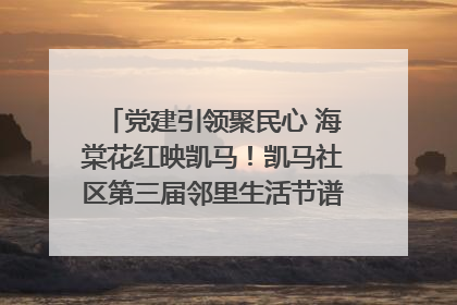 党建引领聚民心 海棠花红映凯马！凯马社区第三届邻里生活节谱写幸福新篇章