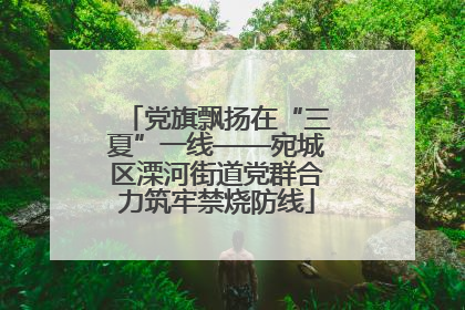 党旗飘扬在“三夏”一线——宛城区溧河街道党群合力筑牢禁烧防线