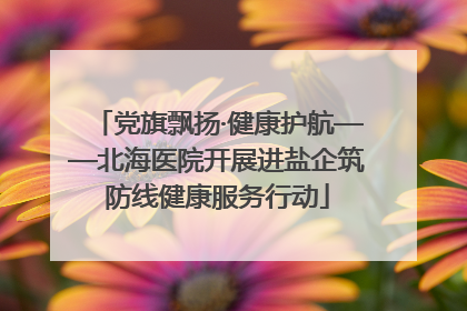 党旗飘扬·健康护航——北海医院开展进盐企筑防线健康服务行动