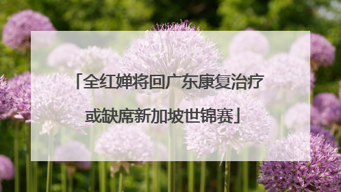 全红婵将回广东康复治疗 或缺席新加坡世锦赛