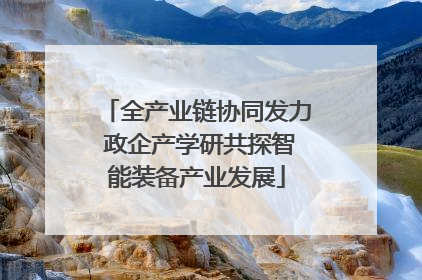 全产业链协同发力 政企产学研共探智能装备产业发展